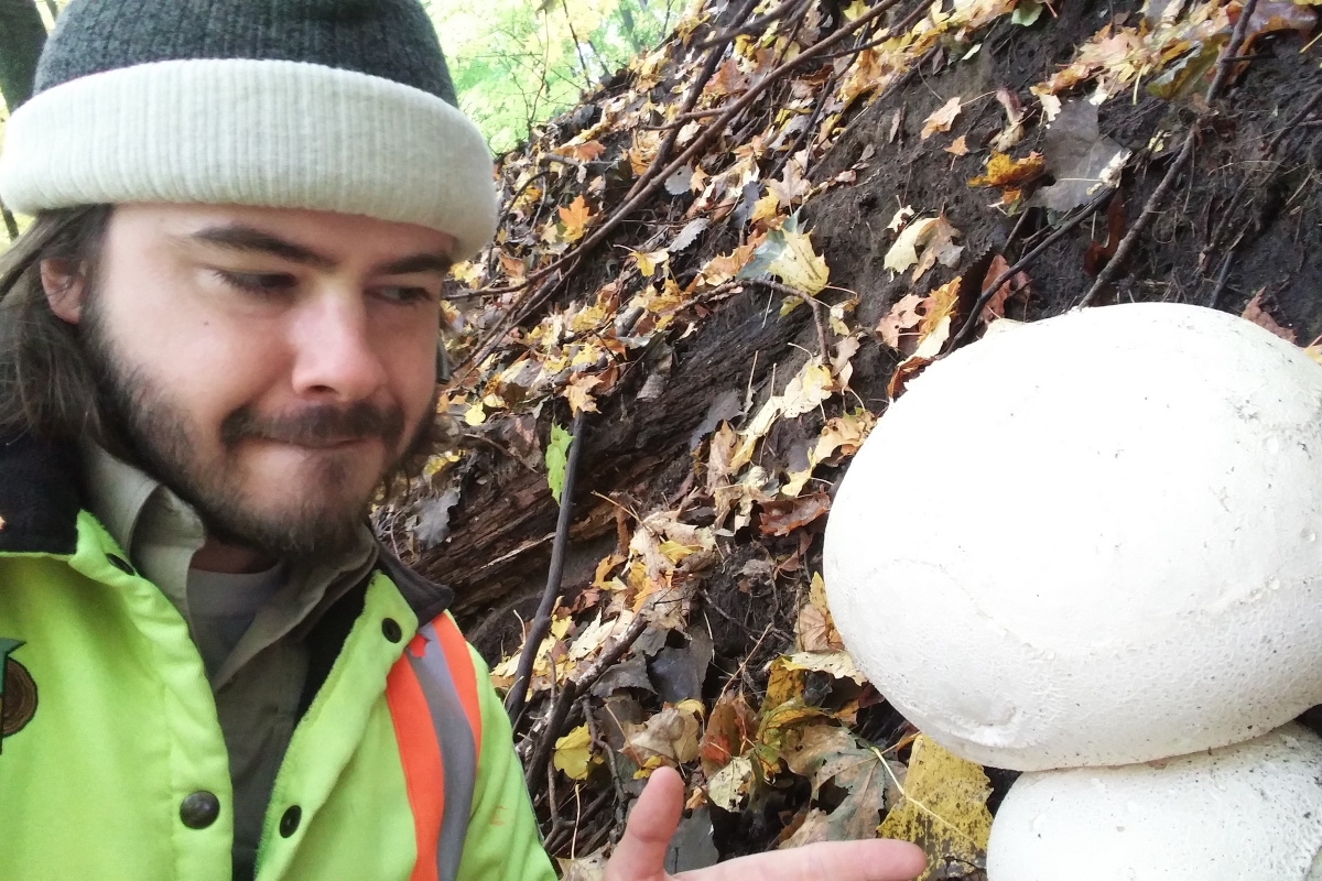 Wild About Mushrooms at Ironwood Arboricultural