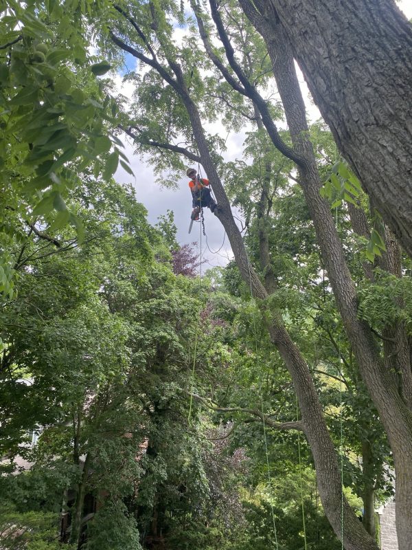 signal-2025-06-28-201937